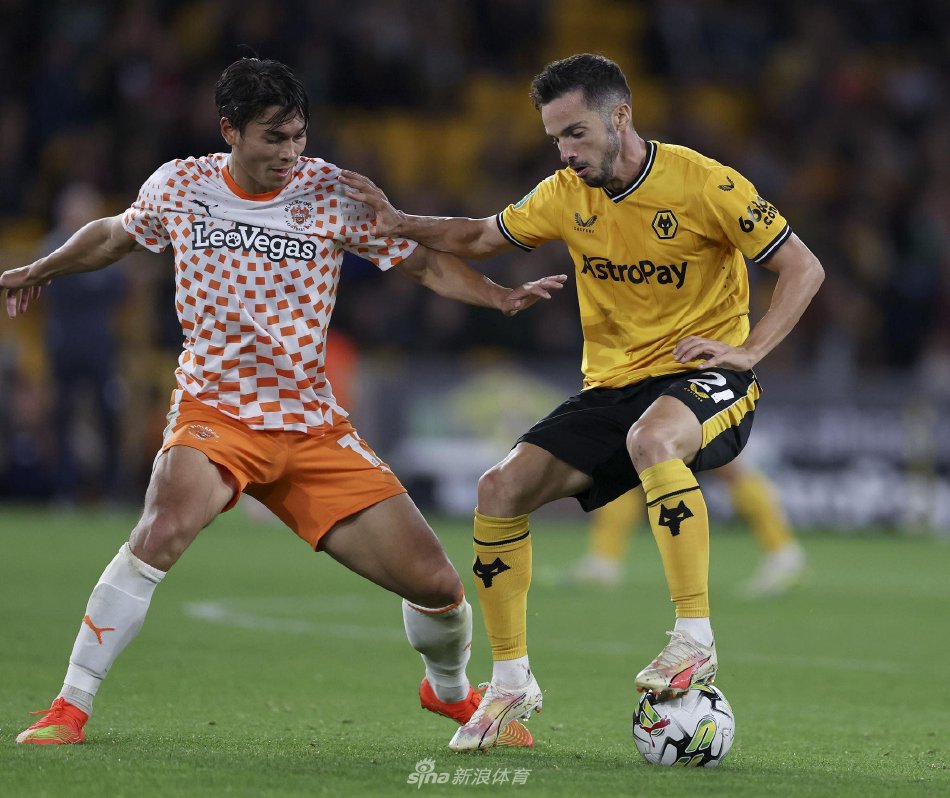 这充分说明 这充分说明