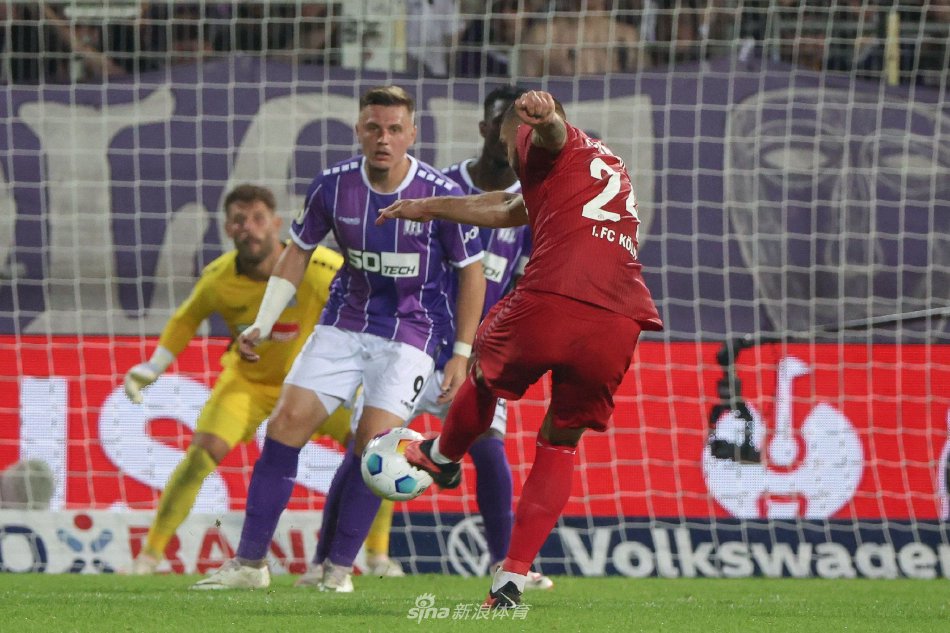 交流学习的 交流学习的